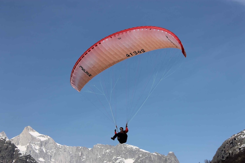 Picture 2 for Activity Aletsch Arena: Paragliding Tandem Flight Basic