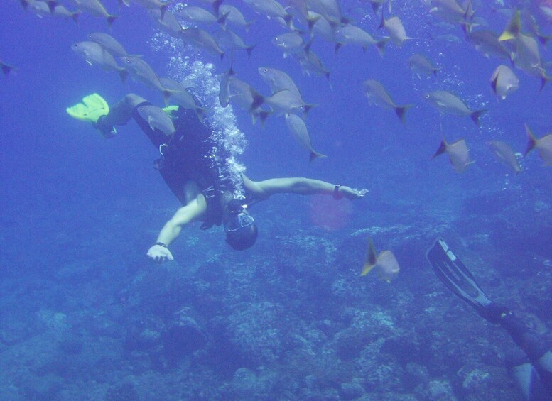 Picture 2 for Activity Guanacaste: Discover Scuba Dive Day in Papagayo Gulf