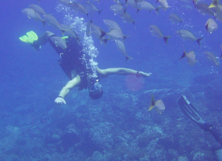 Picture 2 for Activity Guanacaste: Discover Scuba Dive Day in Papagayo Gulf