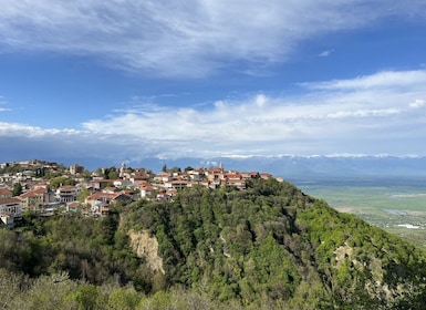 Depuis Tbilissi : excursion d'une journée à Sighnaghi