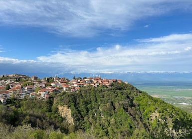 Sighnaghi Tagesausflug mit Weinverkostung und Bodbe-Kloster