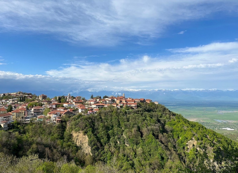 Sighnaghi Day Trip with wine tasting and Bodbe Monastery