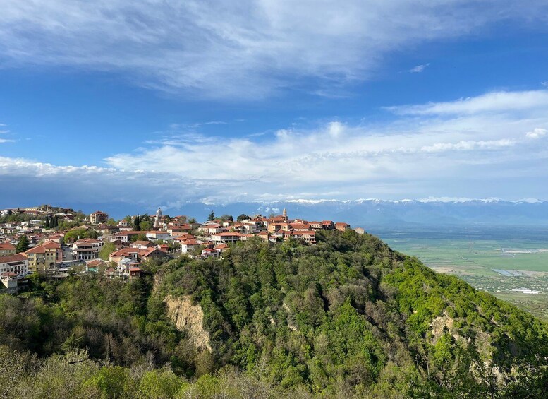 Sighnaghi Day Trip with wine tasting and Bodbe Monastery