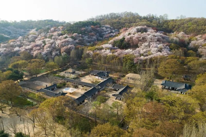South Korea: Korean Folk Village 8 Hour Guided Tour