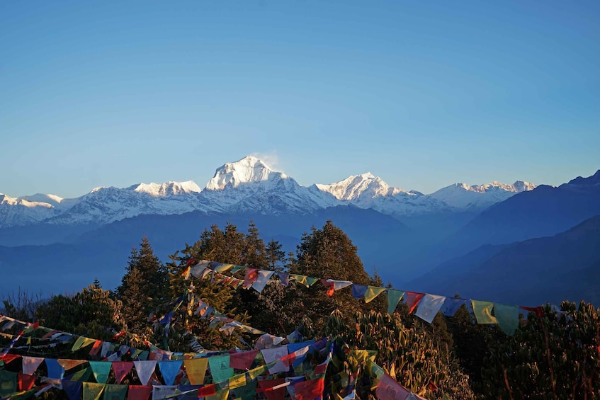 Picture 3 for Activity Ghorepani Poon Hill Trek: 4-Days Private Tour from Pokhara
