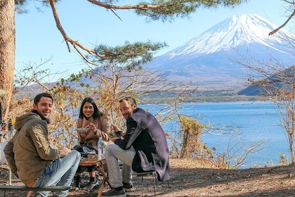 Private Mt Fuji Tour from Tokyo: Scenic BBQ and Hidden Gems