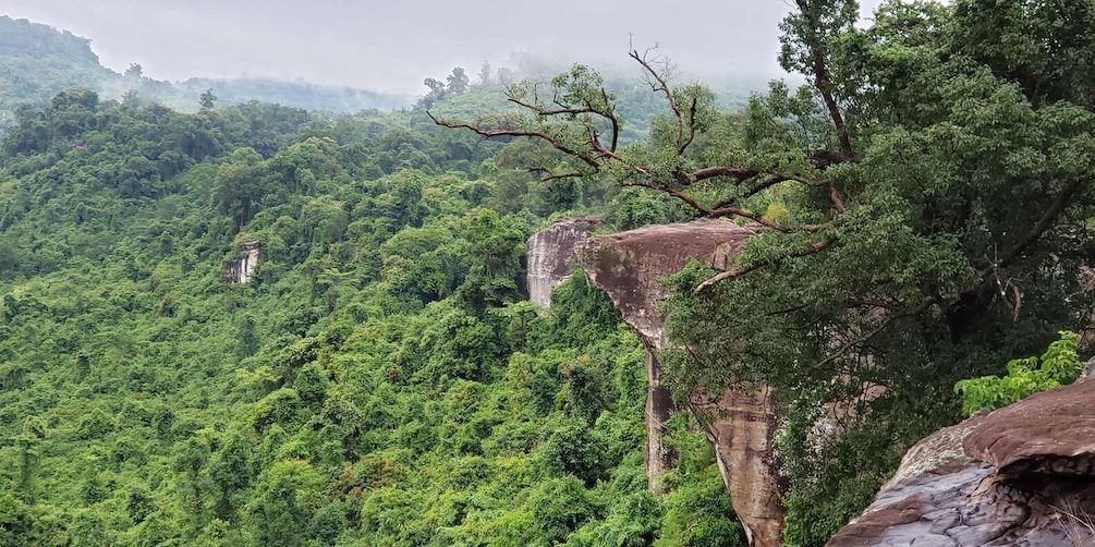 Picture 9 for Activity Phnom Kulen Waterfall National Park, 1000 Linga Private Tour