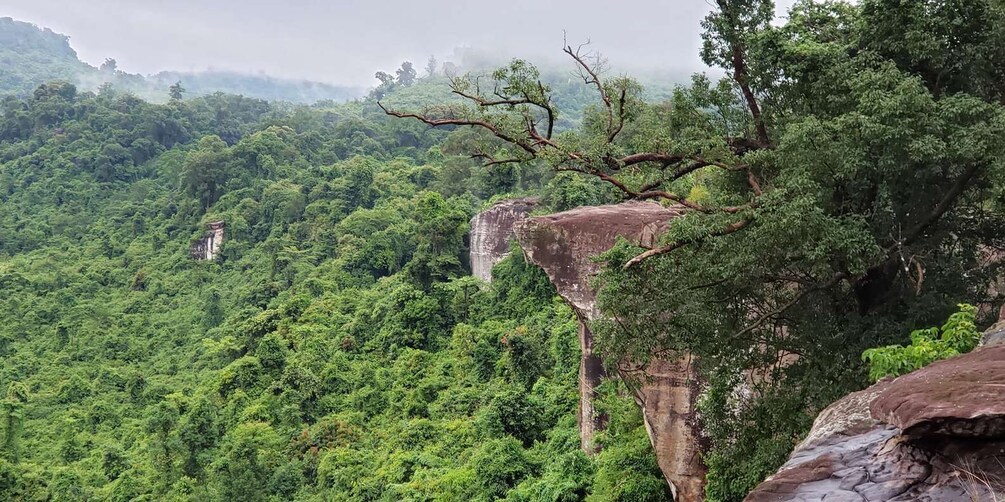 Picture 9 for Activity Phnom Kulen Waterfall National Park, 1000 Linga Private Tour