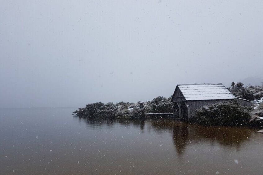 White out at Cradle Mountain while on tour with WildTasmaniaTours.com