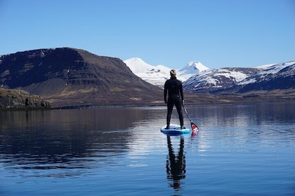 Private Stand Up Paddle Boarding Guided Activity in Hvalfjordur