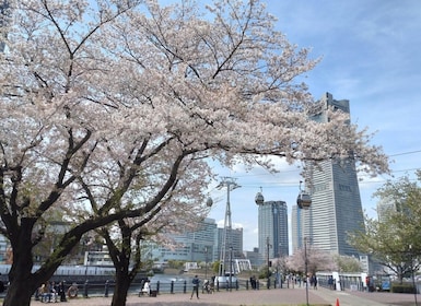 'Feel Yokohama!'Private Tour auf Englisch Kirschblüten Jetzt