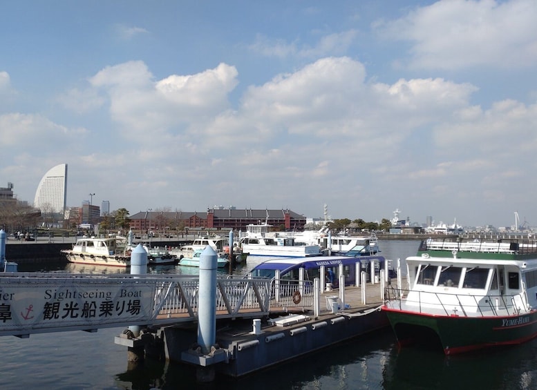 Picture 11 for Activity 'Feel Yokohama!'Private tour in English