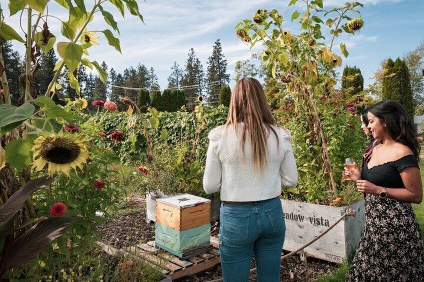 Love Local! Taste the Okanagan Artisan Farm Tour 