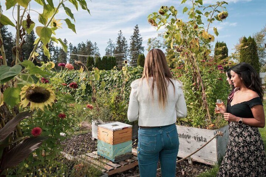 Love Local! Taste the Okanagan Artisan Farm Tour
