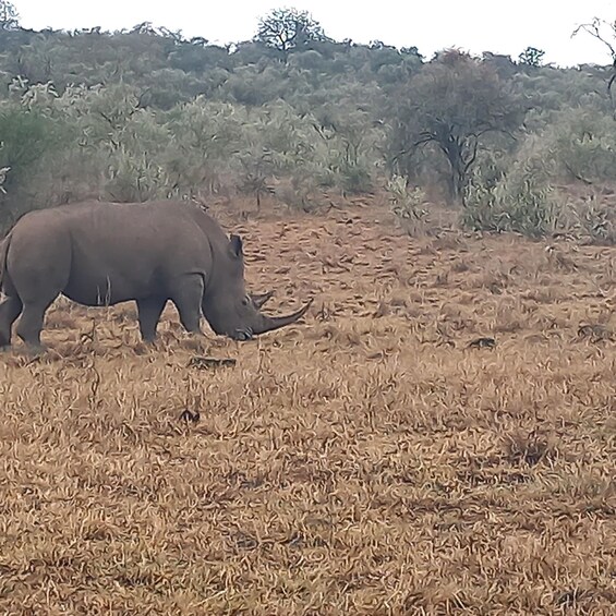 Picture 5 for Activity 3 Days safari Tsavo East & Taita Hills/ Saltlick lodge