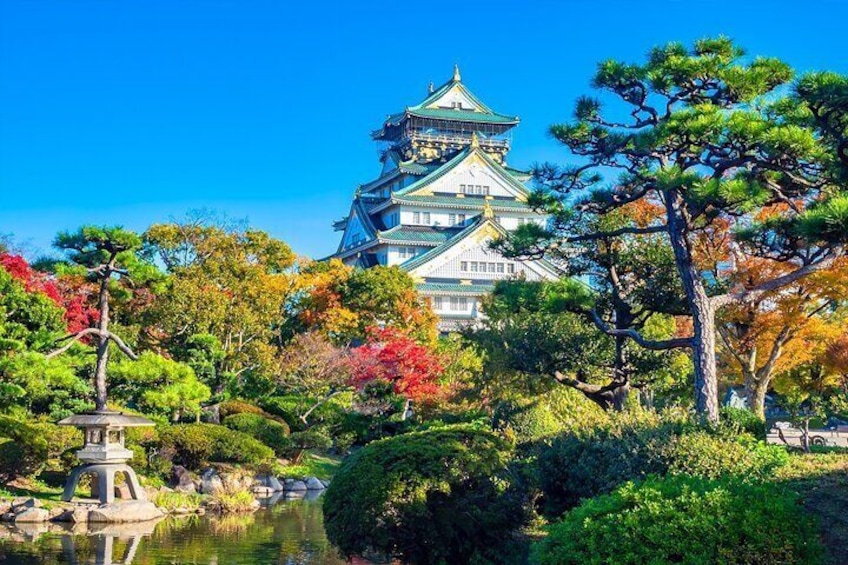 Full-Day Private Guided Tour in Osaka