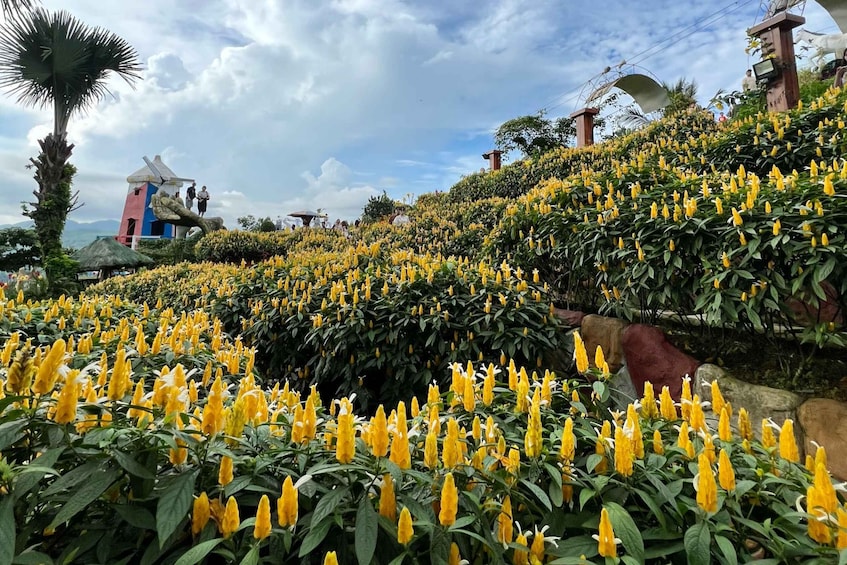 Picture 6 for Activity Cebu: Highlands Guided Tour w/ Hotel Pickup