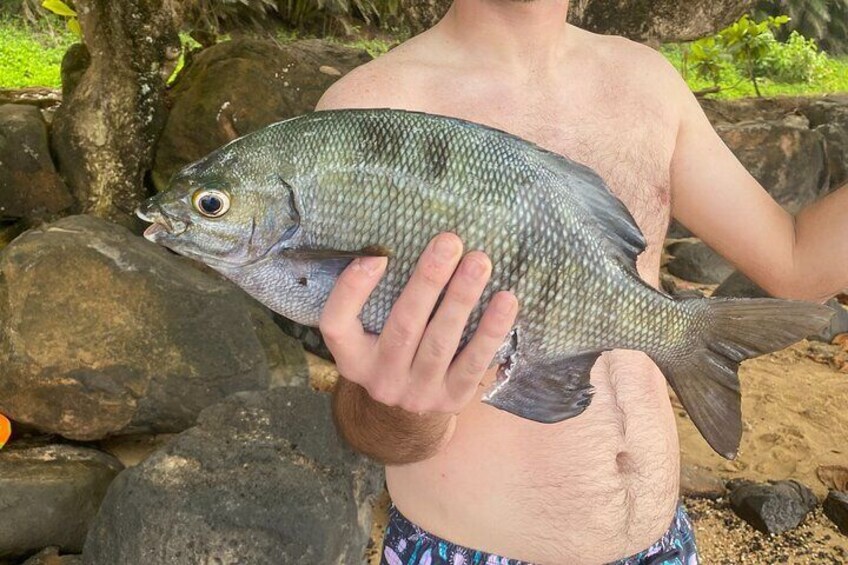 Hawaiian Reef Spear Fishing Lesson for Beginners