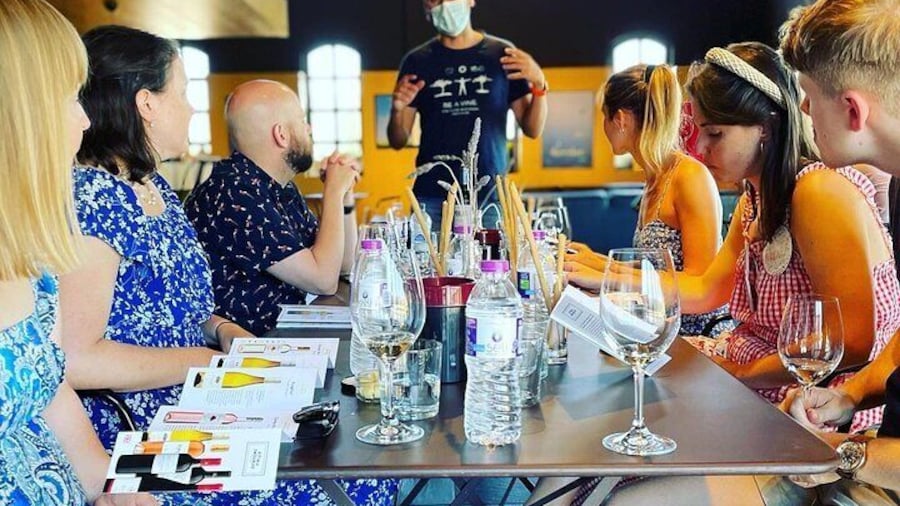 Nemea Wine Tour from Athens, Nafplio or Nemea with Oenologists