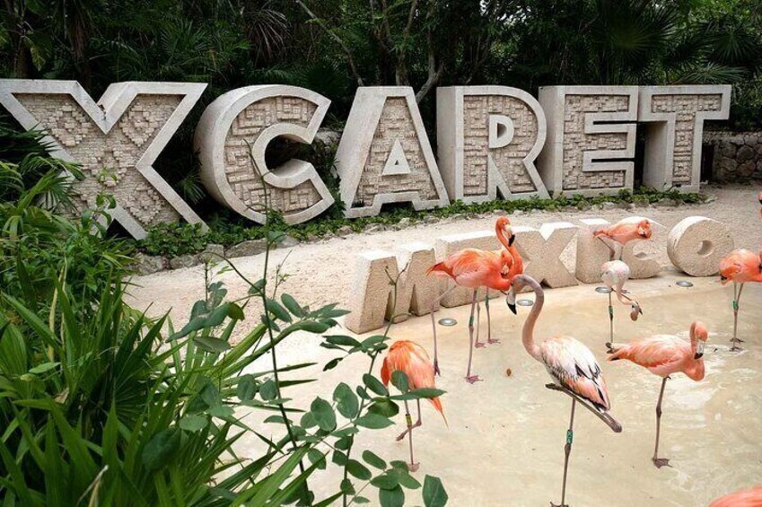 Xcaret Plus Full Day Tour from Cancun