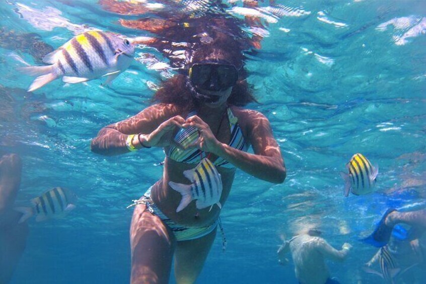 Route of Adventure: Punta Sur Park and Clear Boat Cozumel