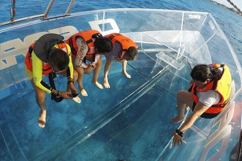 Route of Adventure: Punta Sur Park and Clear Boat Cozumel