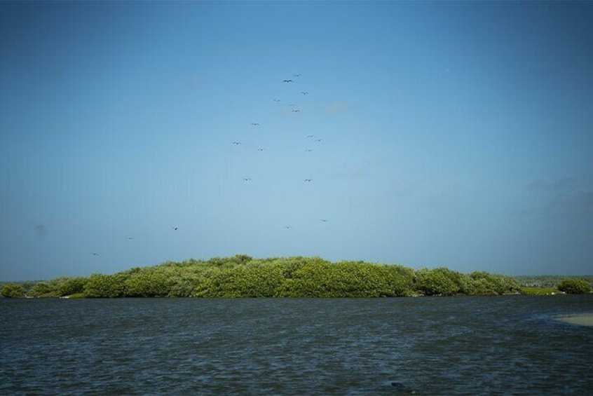 Route of Adventure: Punta Sur Park and Clear Boat Cozumel