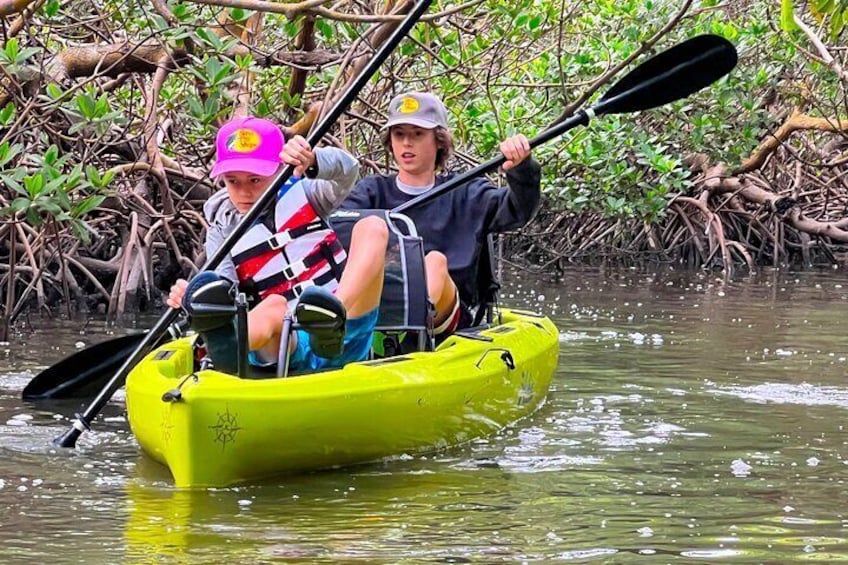 3 Hour Hobie Kayak Adventure In Bonita Springs