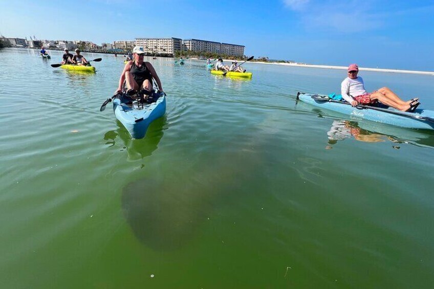 3 Hour Hobie Kayak Adventure In Bonita Springs