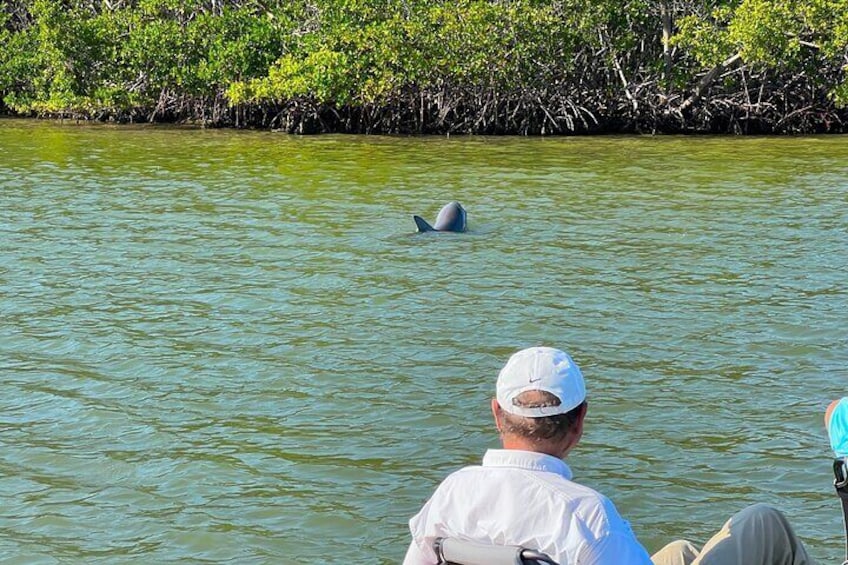 3 Hour Hobie Kayak Adventure In Bonita Springs