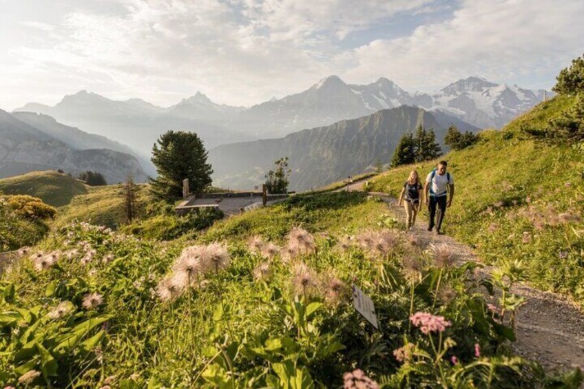 Schynige Platte Admission