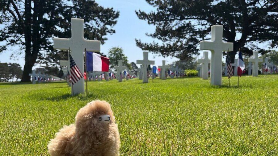 American D-day beaches Private Guided Tour Omaha Utah P. du Hoc
