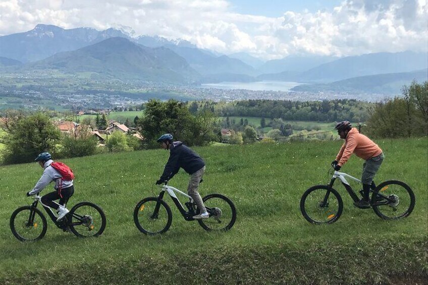 Guided E-Bike Mountain Bike Tour at Mandallaz Mountain