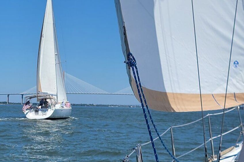 Private Sailing/Dolphin & History Tours on Mystique