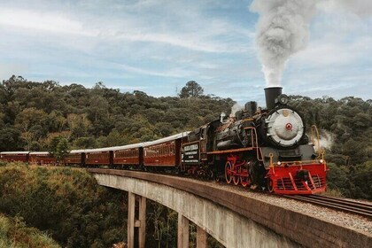 Zugfahrt durch Maria Fumaça inklusive Mittagessen