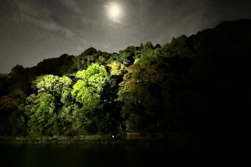 Ghost Hunting in the Bamboo Forest - Arashiyama Kyoto at night