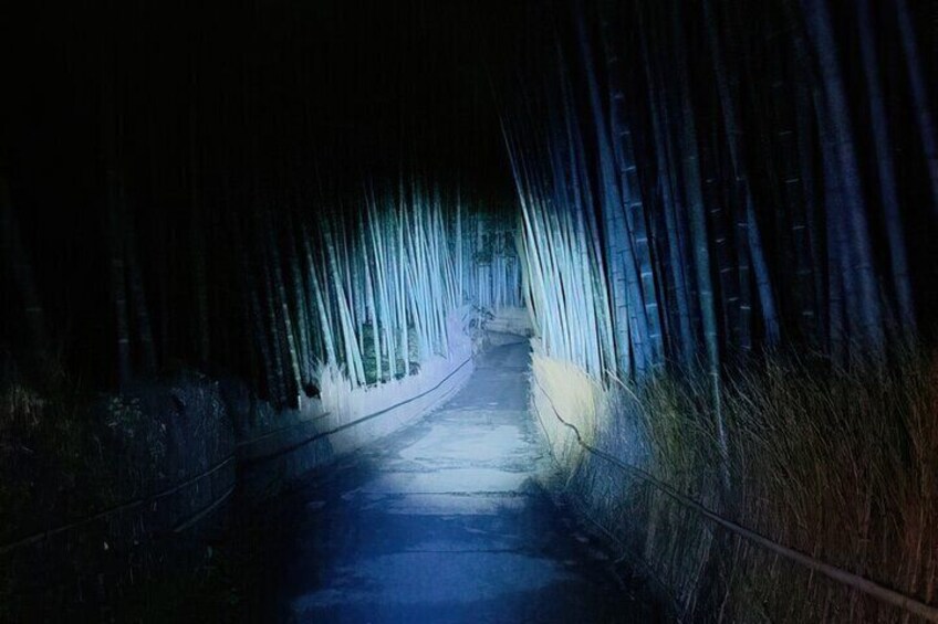 Ghost Hunting in the Bamboo Forest - Arashiyama Kyoto at night