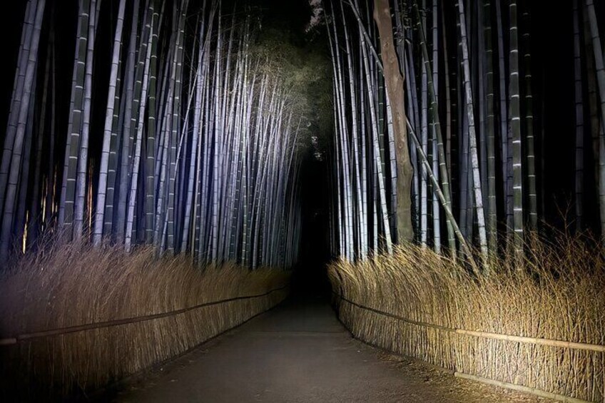 Ghost Hunting in the Bamboo Forest - Arashiyama Kyoto at night