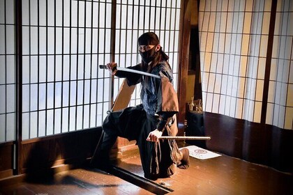 Path of Ninja & Shogun: Private Van History Tour from Kyoto