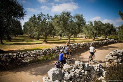 Cycling Across Salento: Capo di Leuca 4-Hour Bike Tour