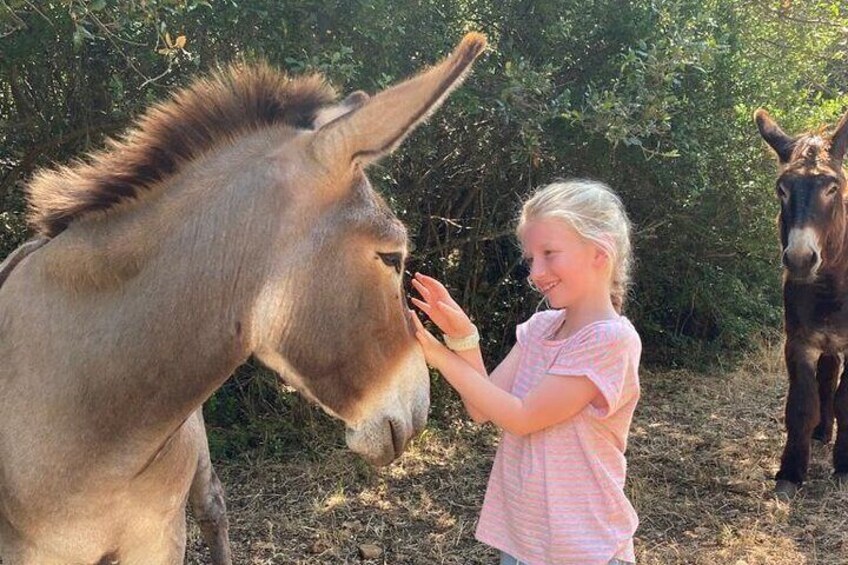 Cuddles with the Donkeys