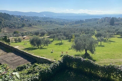Fiesole : Florentine Hills, Roman Theater & Tuscan Wine Experience