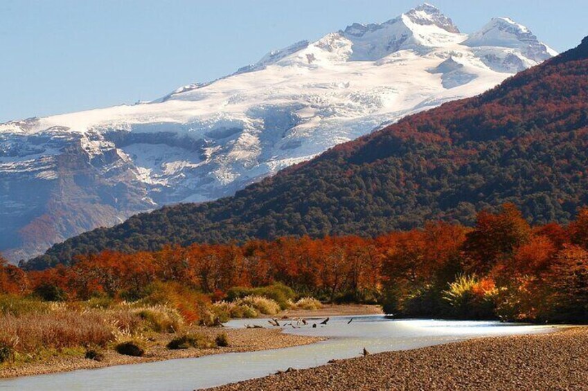 Full Day Hiking Tour in Cerro Tronador