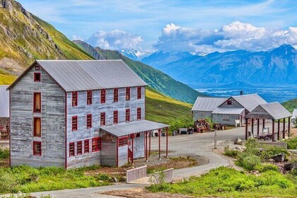 Private Mat-Su Valley, Hatcher Pass & Local Wildlife Tour