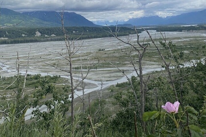 Private Hatcher Pass, Iditarod & Local Wildlife Tour