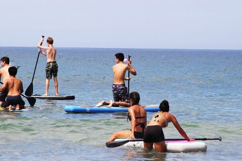 Inflatable Paddle Board Rental