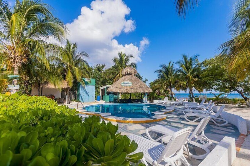Tikinxic Barefoot Fish Guided Cookout Experience in Cozumel