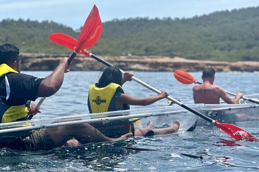 Snorkeling-out : Transparent Kayak or SUP Tour