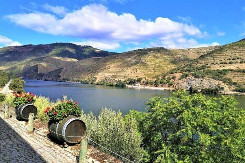 Excursão Douro Valley - Wine Tasting/Lunch/Boat Cruise