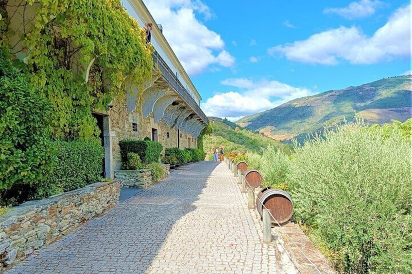 Excursão Douro Valley - Wine Tasting/Lunch/Boat Cruise